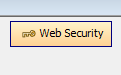 A Web Security